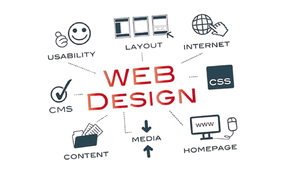 Custom ecommerce website design and development in North East India